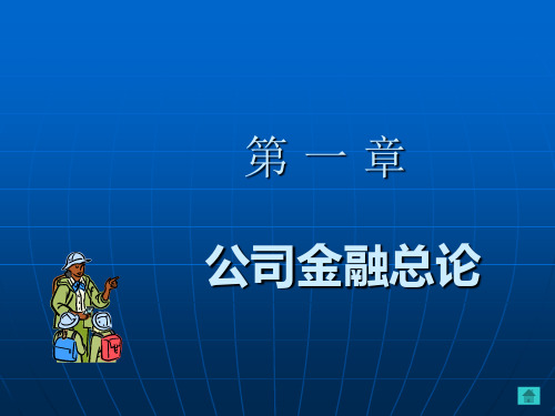 公司金融第章