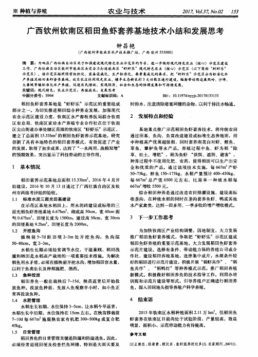 广西钦州钦南区稻田鱼虾套养基地技术小结和发展思考