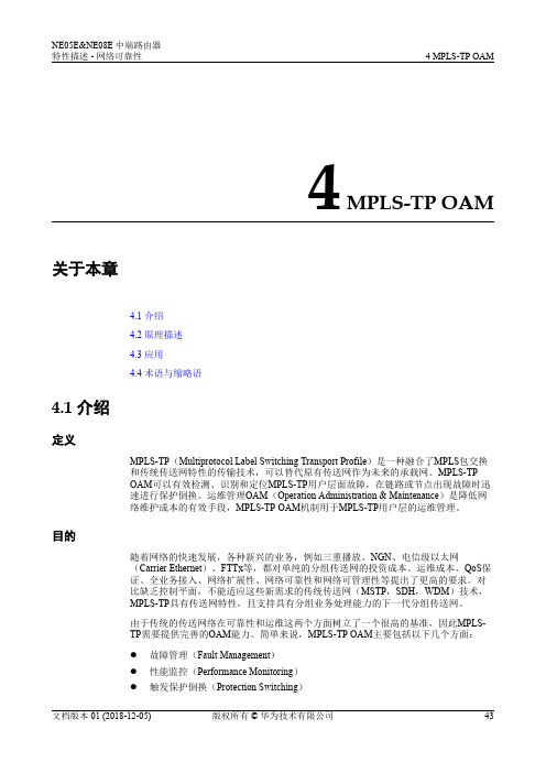 01-04 MPLS-TP OAM