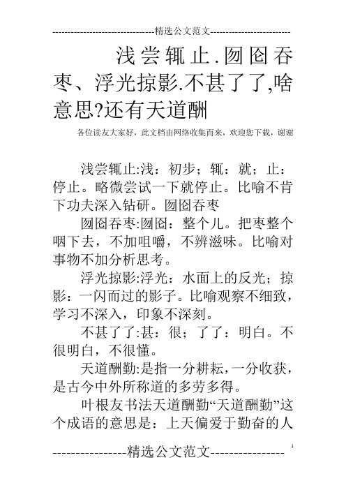浅尝辄止.囫囵吞枣、浮光掠影.不甚了了,啥意思-还有天道酬