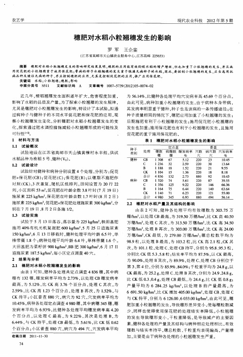 穗肥对水稻小粒翘穗发生的影响