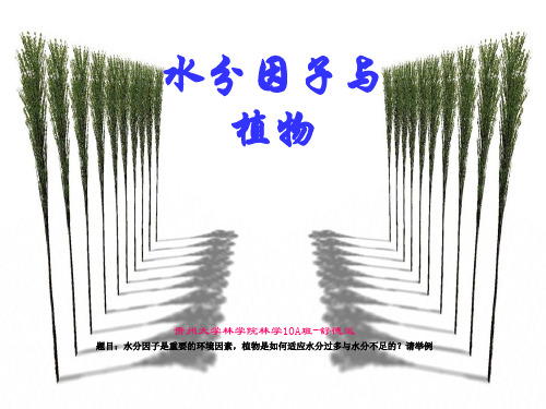 森林生态学-水分因子