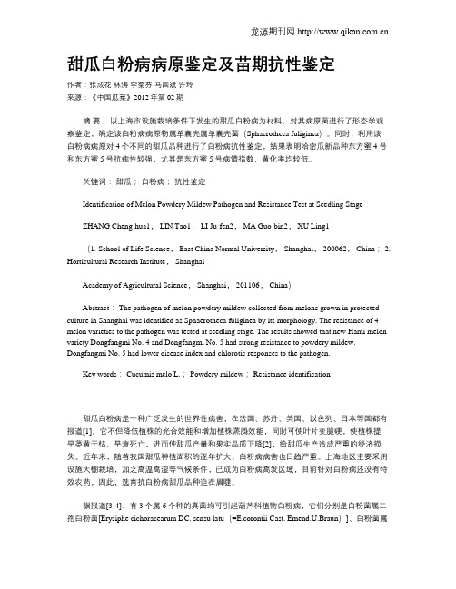 甜瓜白粉病病原鉴定及苗期抗性鉴定