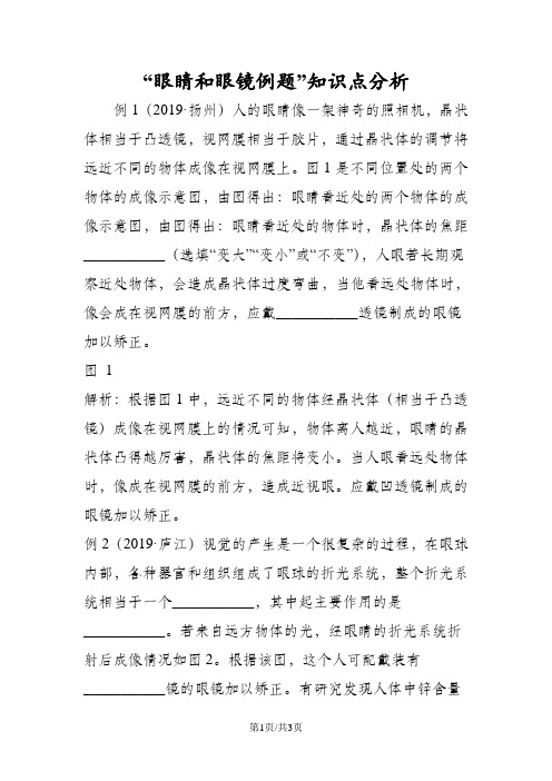 “眼睛和眼镜例题”知识点分析