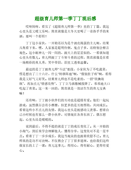 超级育儿师第一季丁丁观后感