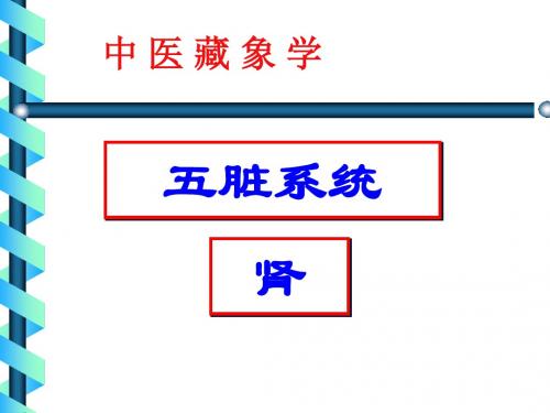 藏象学说-肾周康梅