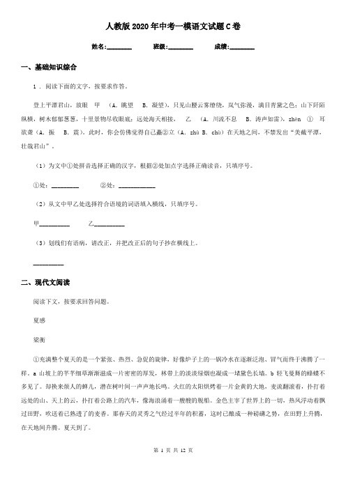 人教版2020年中考一模语文试题C卷(检测)
