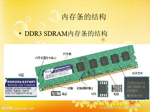 内存条的结构 PPT