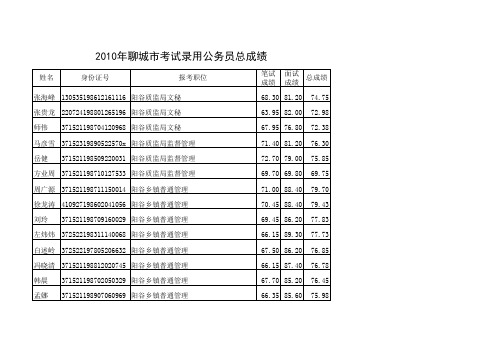 2010聊城副本总成绩(上网)