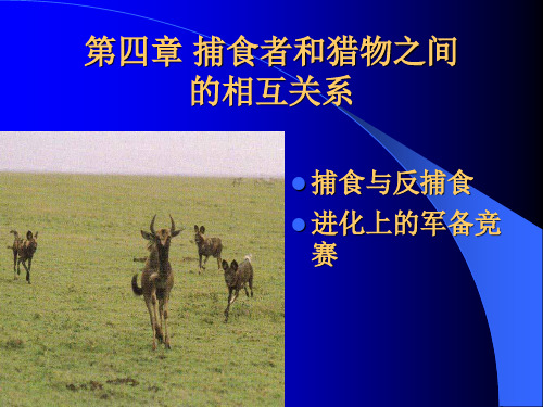 动物行为学第4章 捕食者和猎物之间