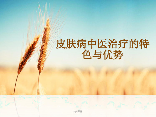 皮肤病中医内治疗法  ppt课件