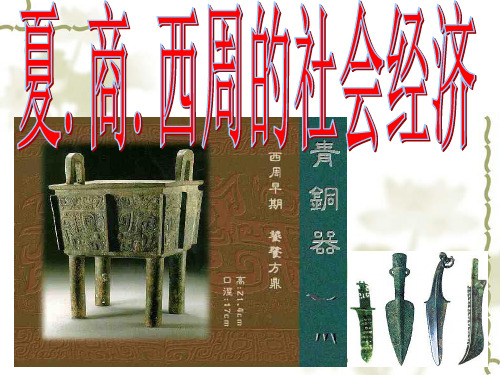 夏商西周的社会经济