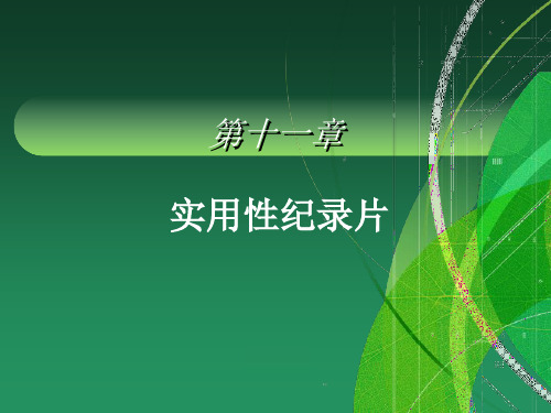 11实用性纪录片