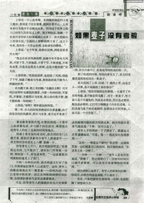 如果麦子没有考验