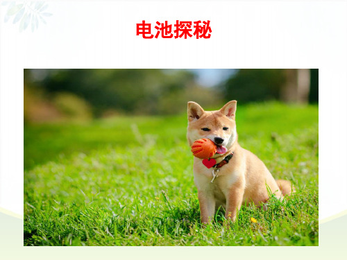高中化鲁科版选修一电池探秘PPT课件