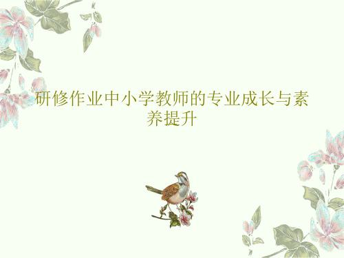 研修作业中小学教师的专业成长与素养提升共115页文档