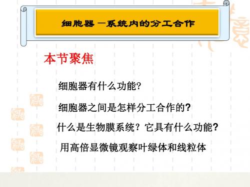 细胞器—系统内的分工与合作