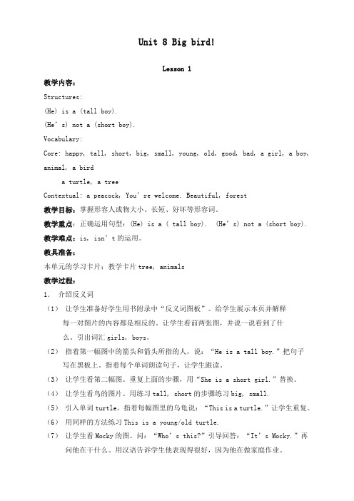 最新北师大一起英语小学三年级下册Unit 8 Big bird优质课教案 (14)