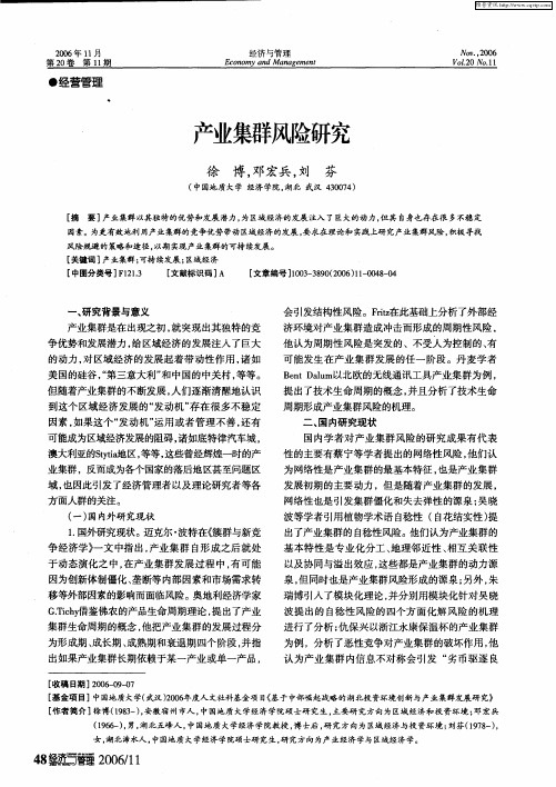 产业集群风险研究
