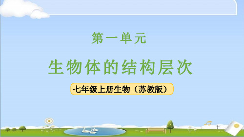 2024年新苏教版七年级上册生物课件 第2章 生物体的组成 第3节 多细胞生物 