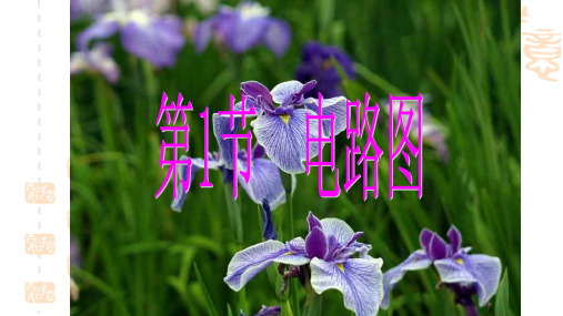 电路图 初中科学八年级浙教版