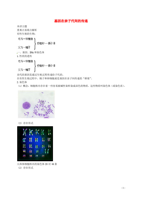 八年级生物下册 第七单元 第二章 第二节 基因在亲子代