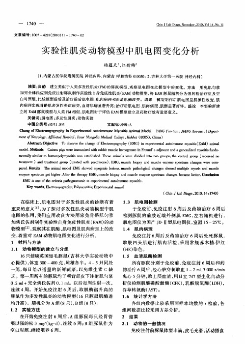 实验性肌炎动物模型中肌电图变化分析