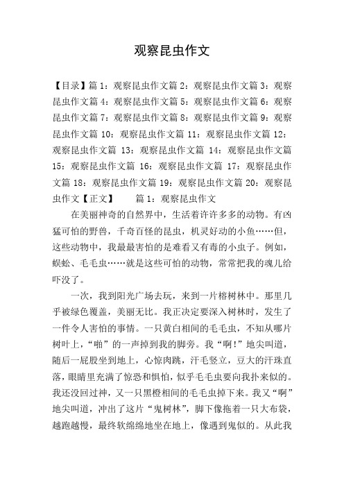 观察昆虫作文