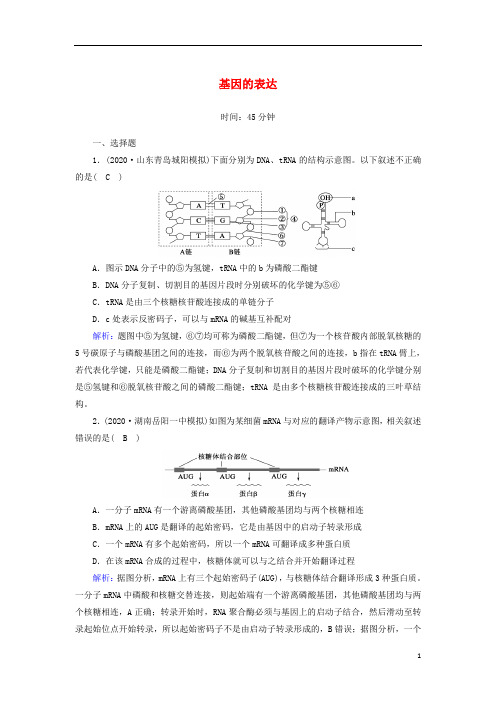 高考生物一轮复习第六单元遗传的物质基础第20讲基因的表达课时作业含解析新人教版
