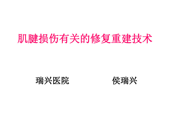 肌腱损伤有关的修复重建技术