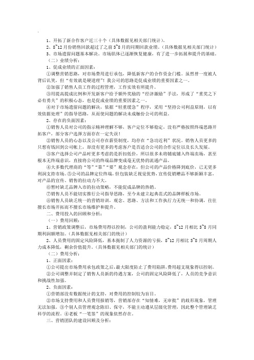 营销总监工作总结范文