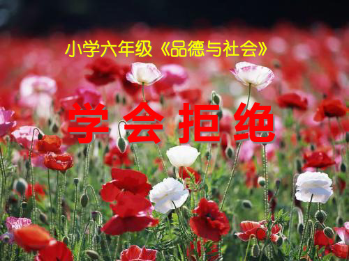 《学会拒绝》走向文明PPT课件三