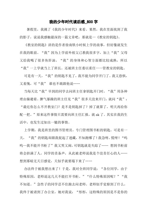 我的少年时代读后感_800字