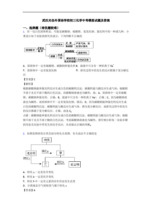 武汉光谷外国语学校初三化学中考模拟试题及答案