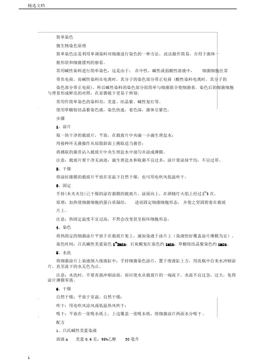 细菌简单染色法.