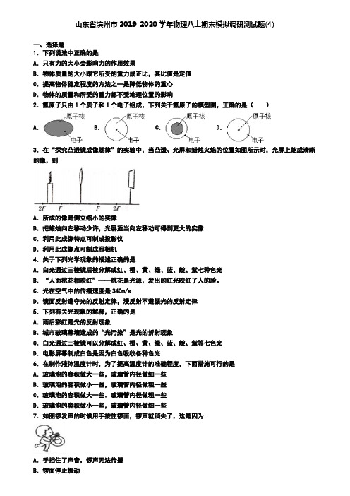 山东省滨州市2019-2020学年物理八上期末模拟调研测试题(4)