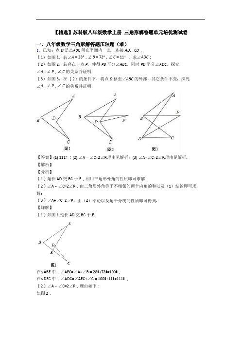 【精选】苏科版八年级数学上册 三角形解答题单元培优测试卷