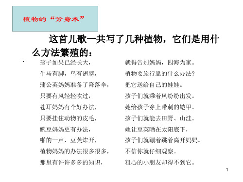 五年级下册科学课件 - 14 植物的“分身术”   ︳青岛版(共14张PPT)
