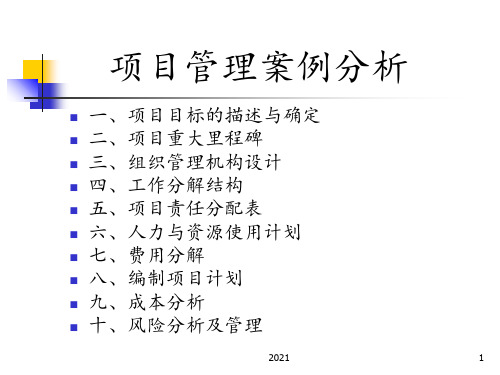 案例一-项目管理分析报告PPT课件