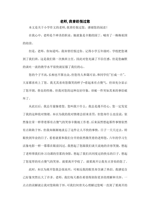 老师,我曾经恨过您_小学作文