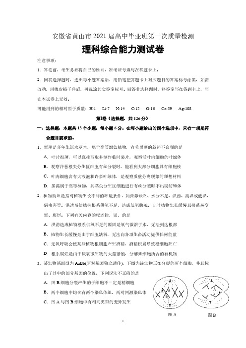 安徽省黄山市2021届高中毕业班第一次质量检测理综试题(含答案)