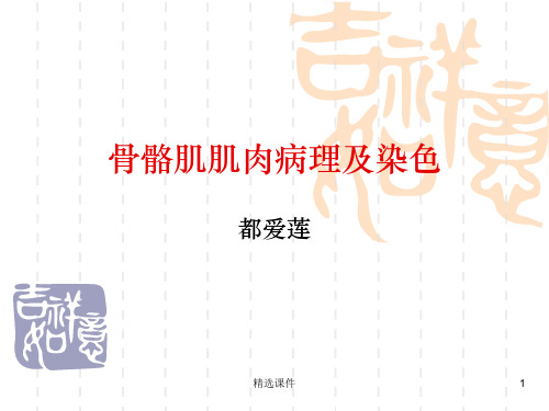 骨骼肌肌肉病理及染色PPT课件