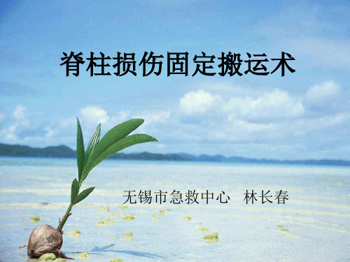 【优】脊柱损伤固定搬运术最全PPT资料