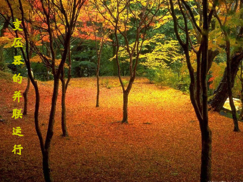 电机学 第三章 (变压器的并联运行)