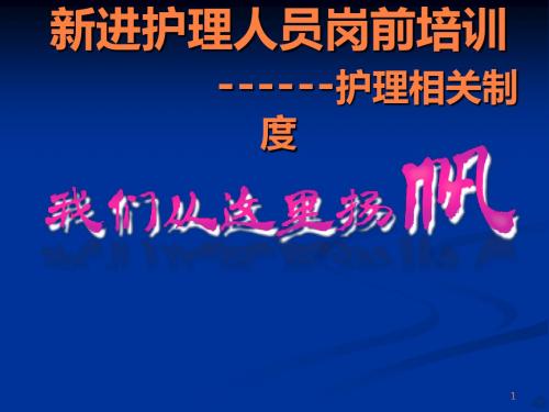新进护理人员岗前培训 ppt课件