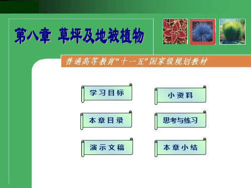 第八章 草坪与地被植物 观赏植物栽培课件