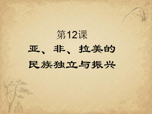 【历史】亚、非、拉美的民族独立与振兴 中华书局版件