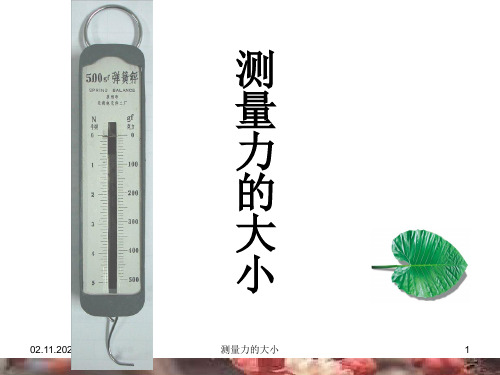 教科版科学五年级上测量力的大小课件