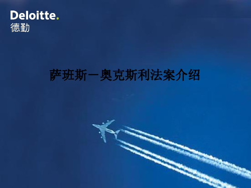 萨班斯-奥克斯利法案介绍