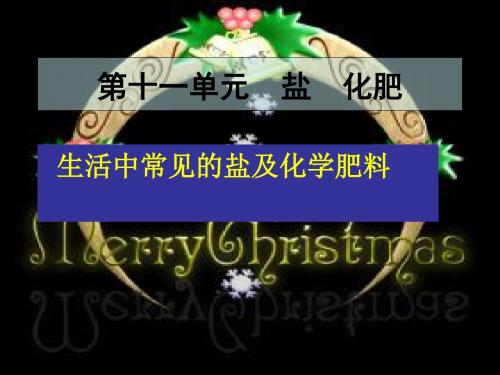【初中化学】生活中常见的盐及化学肥料PPT课件 人教版
